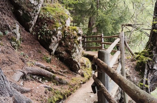 Hauswanderung auf dem Leiten- und Bergwaal bei Schluderns : September 2024