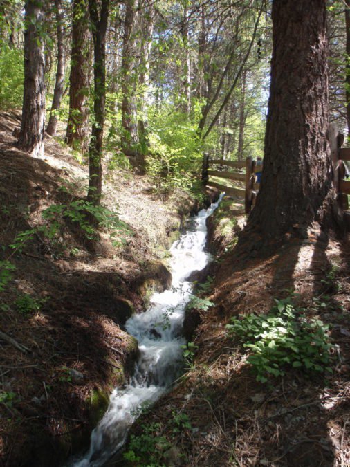 Wandeling Schludernser Waalweg mei 2018