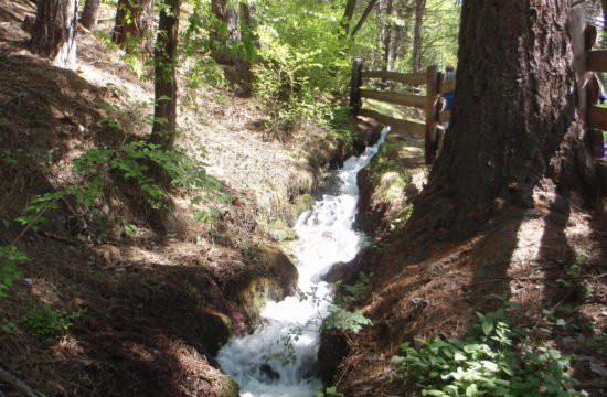 Wandeling Schludernser Waalweg mei 2018