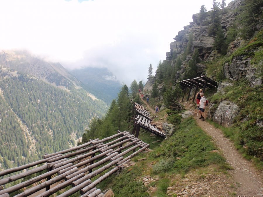 wandeling naar de Steinrastalm Ultental juli 2017