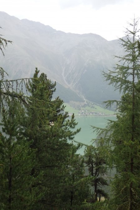 Wanderung zur urigen Bergalm August 2023