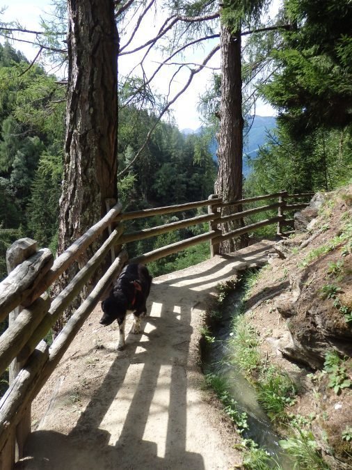 wandeling waalweg Schluderns augustus 2021