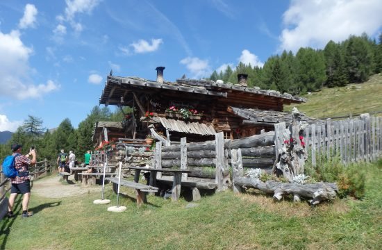 Hauswanderung in urige Ultental: Riemerbergl und Kühbergalm August 2024