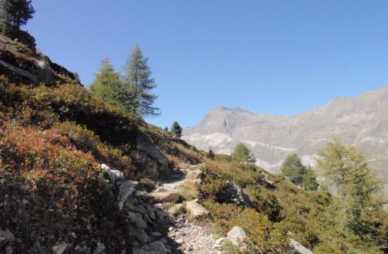 Wandeling op de Panoramaweg in Pfelders augustus 2017