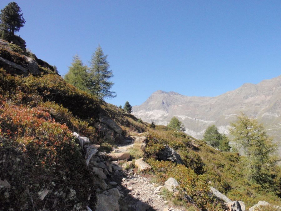 Wandeling op de Panoramaweg in Pfelders augustus 2017